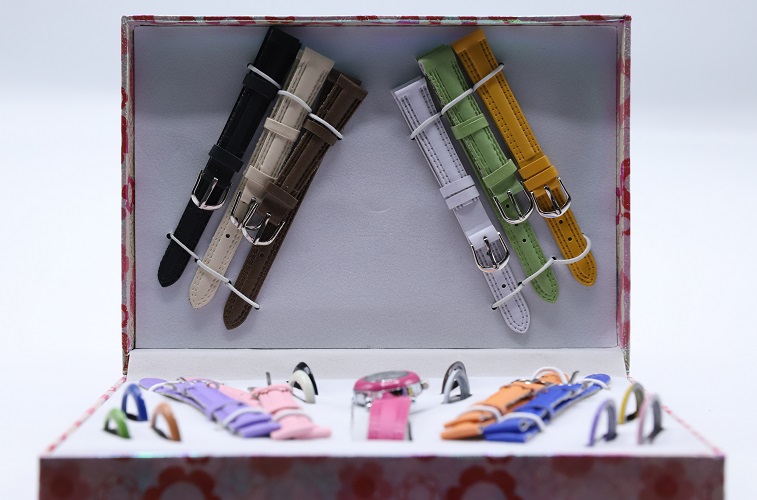 Interchangeable Watch & Strap Set